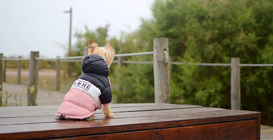 Dashi Кучешки палта Водоустойчиво Pink XSmall с дължина на гръбчето 30 см.