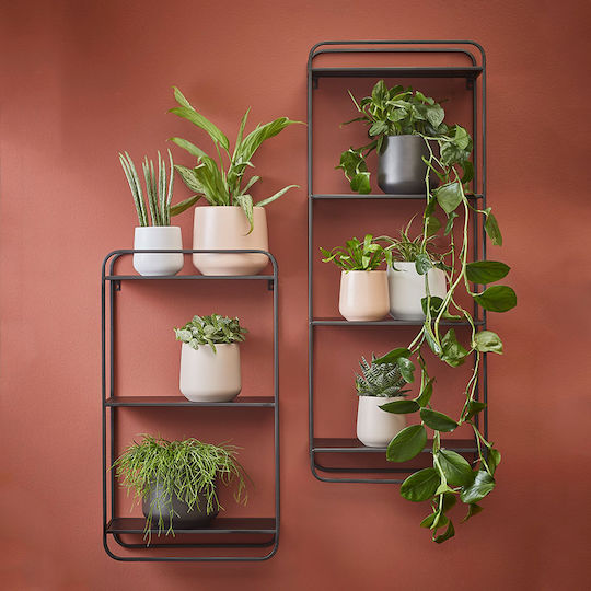 Edelman Plant Pot Ceramic Brown