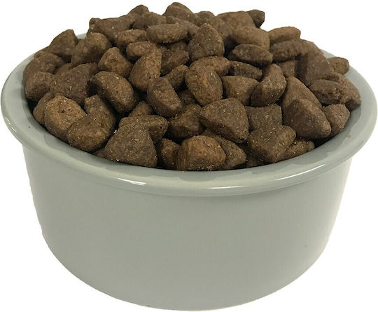 Wellness Wellness Core Large Breed Puppy 10kg Dry Food Grain-Free for Large Breed Puppies with Turkey and Chicken