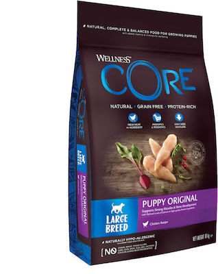 Wellness Wellness Core Large Breed Puppy 10kg Dry Food Grain Free for Puppies of Large Breeds with Turkey and Chicken