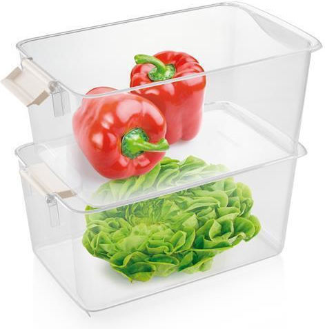 Tescoma Fridge Organisation Basket For General Use