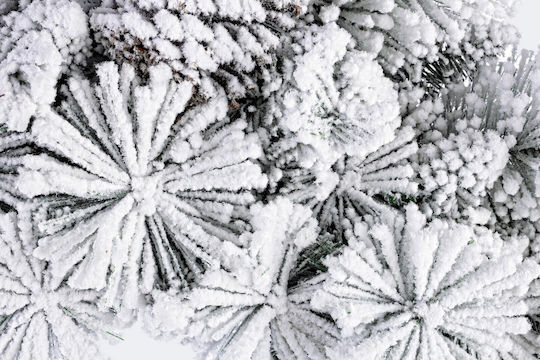 Bizzotto Weihnachtsdekoration Kunststoff Kranz mit Durchmesser 80cm.