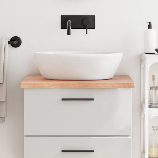 vidaXL Waschtisch ohne Waschbecken L60xB50xH4cm Braun