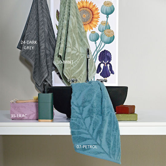 Kentia Stylish Kentia Stylish