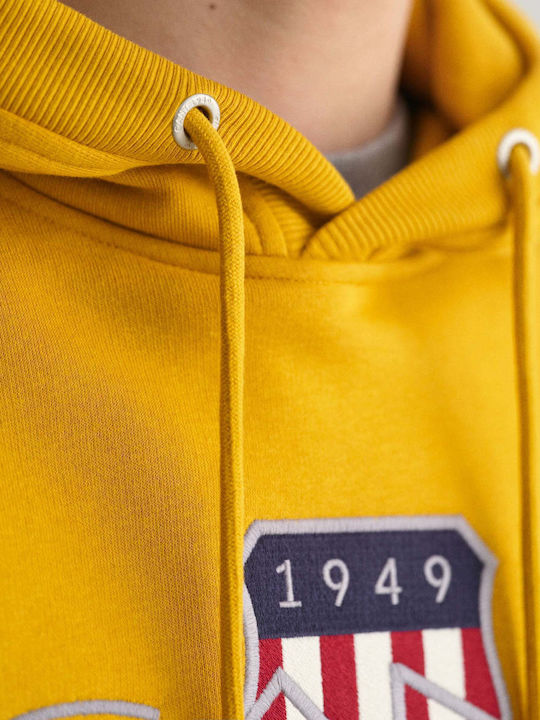 Archive Shield Men's Sweatshirt with Hood Yellow