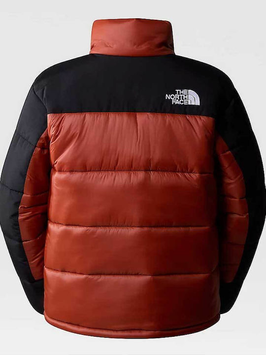 Winter Jacke Braun