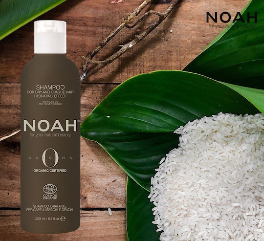 Noah for Beauty Sampon de Păr Reconstrucție/Hrană și Hidratare pentru Uscat 250ml