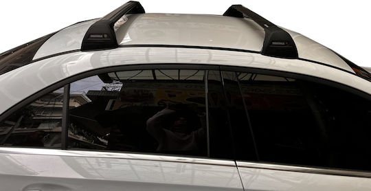 Yakima (with Roof Rack Legs) Silver