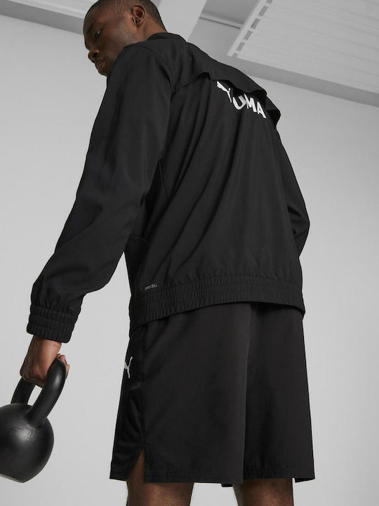 PUMA