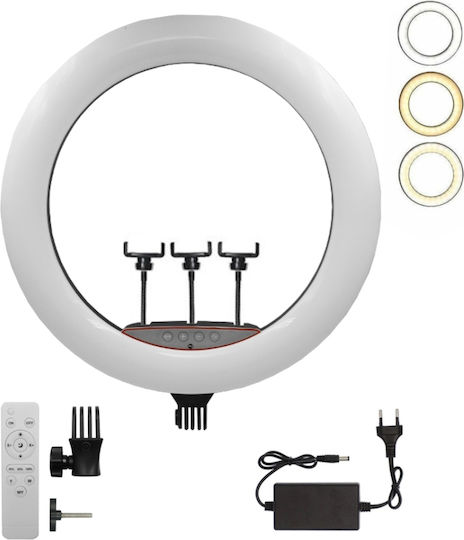 Ring Light 56cm με Βάση για Κινητό