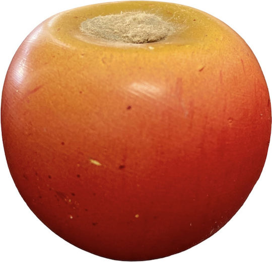 Remo Shaker Apple Small