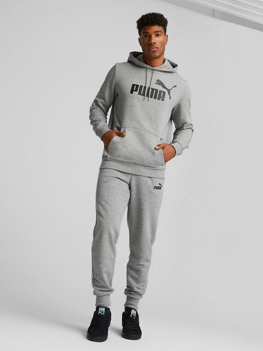 Essential Sweatshirt with Hood Gray