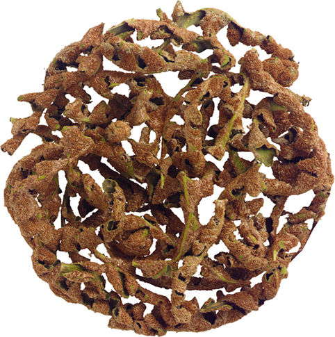 Μεσόγειος Σκορπίδι 50gr