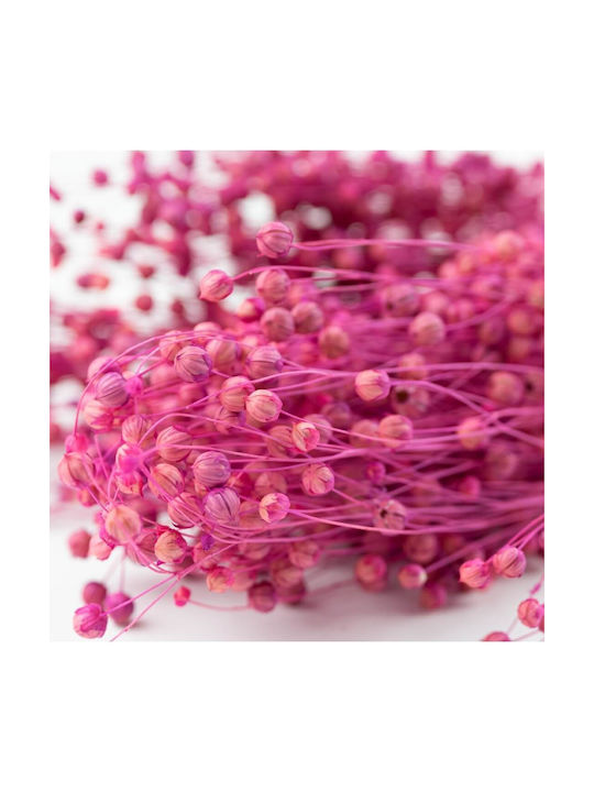 Getrocknete Pflanze Lila 40cm mit LED Selected by Pragmatic