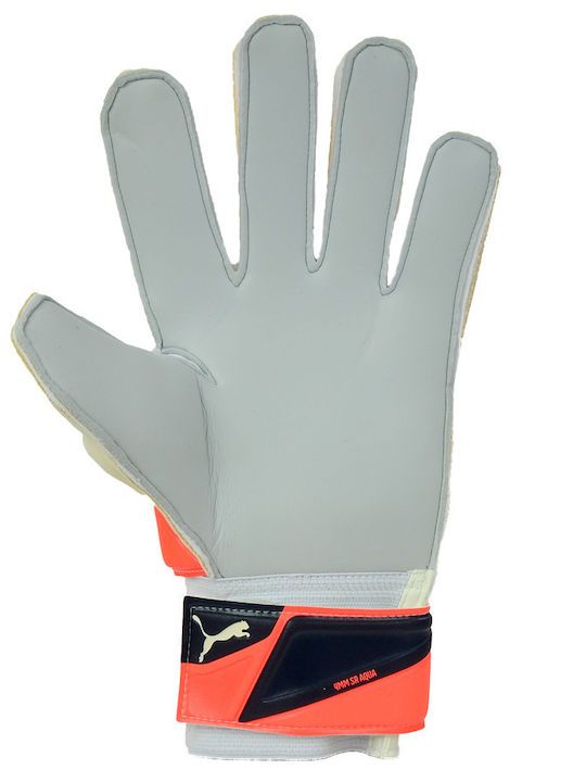 PUMA Evo Power Grip 2 Aqua Γάντια Τερματοφύλακα Ενηλίκων Πορτοκαλί