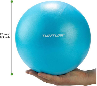 Tunturi Rondo Ball Mini Pilates Ball 25cm 0.133kg Blue