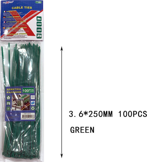 Tpster Plastic Cable Ties 250mmx3.6mm In Green Colour 100 Pieces 32572