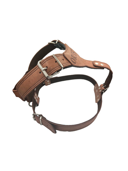 ByLeather Σαμαράκι Σκύλου Δερμάτινο Κόκκινο Large 10964