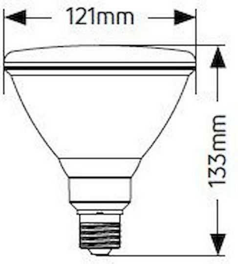 Geyer LED Bulb 15W for Socket E27 and Shape PAR38 Warm White 1100lm