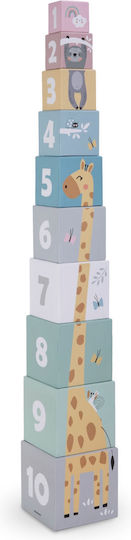 Aktivitätswürfel Animal Box für 12++ Monate