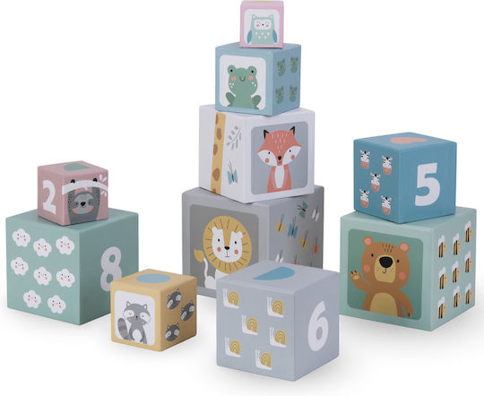 Aktivitätswürfel Animal Box für 12++ Monate
