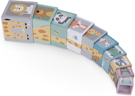 Aktivitätswürfel Animal Box für 12++ Monate