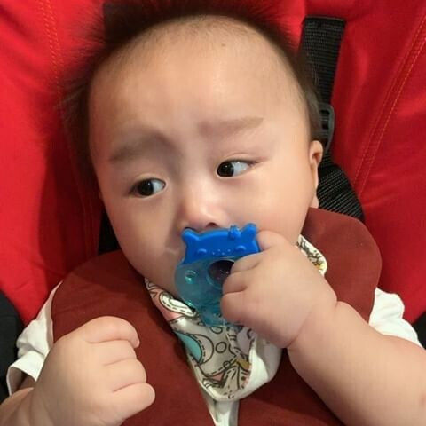 Marcus & Marcus Σαλιάρα Ανατομική Πιπίλα Σιλικόνης Ιπποπόταμος