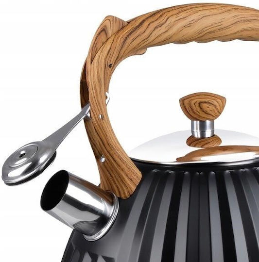 Promis Ceainic Inox Negru 3000ml