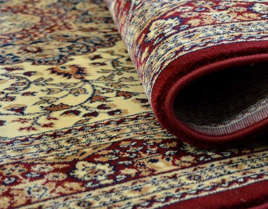Eurofil 7247 Teppich Rechteckig Synthetisch,Polyester/Cotton/Leather mit Fransen Cordoba Cherry
