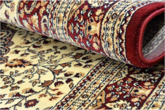 Eurofil 7247 Teppich Rechteckig Synthetisch,Polyester/Cotton/Leather mit Fransen Cordoba Cherry