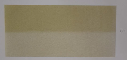 Manterol Casa Roma Velvet Blanket Semi-Double 180x240cm Gray / Ecru