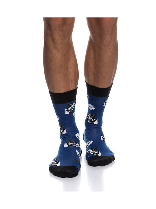 Inizio Men's Socks BLUE