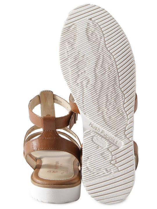 Briard Ring Tstrap Leather Women's Flat Sandals in Brown Color