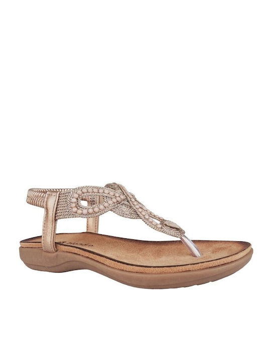 Blondie Women's Flat Sandals in Brown Color