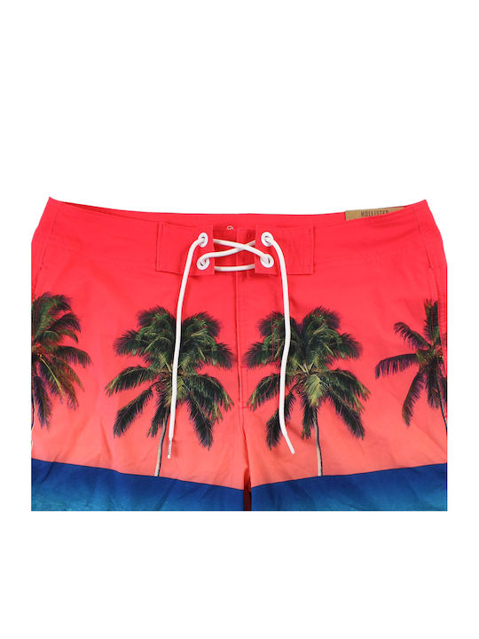 Hollister Hollister