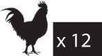 Copele Plastic Feeder for Chickens and Poultry with Capacity 12kg 46x46cm.