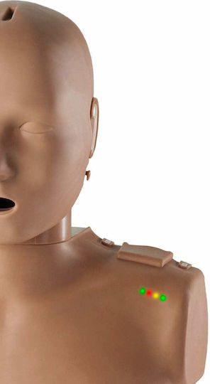 Erler Zimmer Manechin De Antrenament Medical