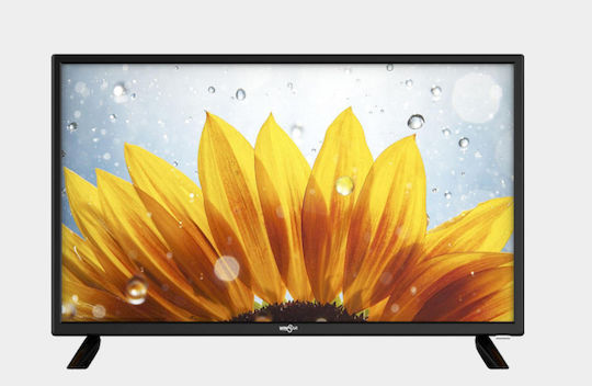 Winstar Τηλεόραση 24" HD Ready LED TV24V5 (2022)