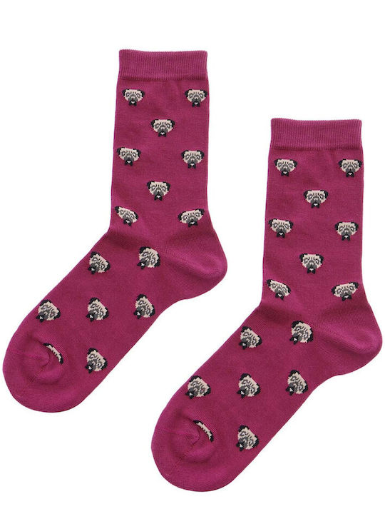 Walk Pugs Κάλτσες με Σχέδια Μωβ