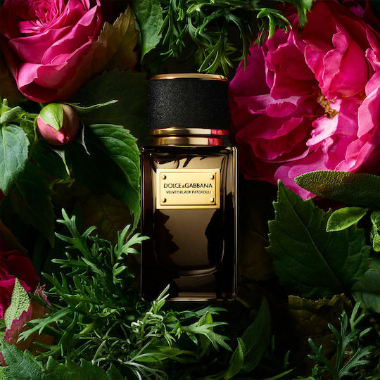 Dolce & Gabbana Velvet Black Patchouli Eau de Parfum 150ml