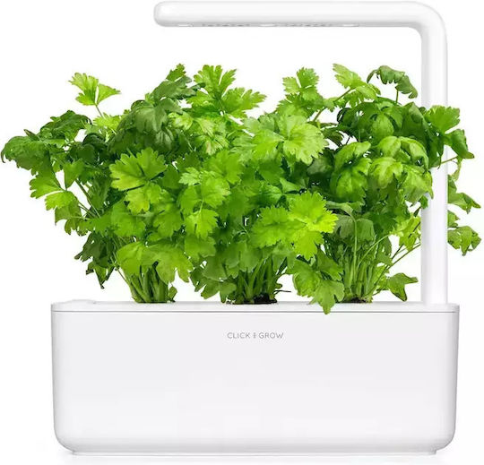 Click and Grow Semințe Țelină 3buc