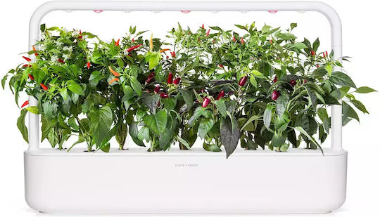 Click and Grow Σπόροι Πιπεριάς Τσίλι Πολύχρωμη 9τμχ