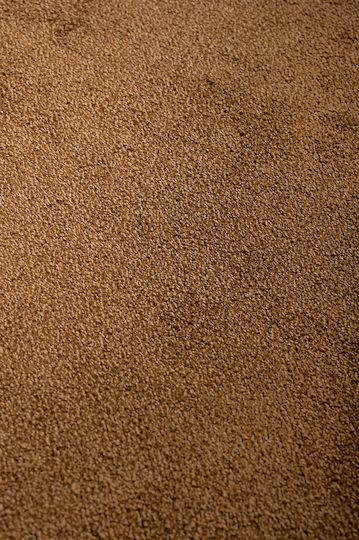 Viokarpet Carpet Janis Price Per Meter