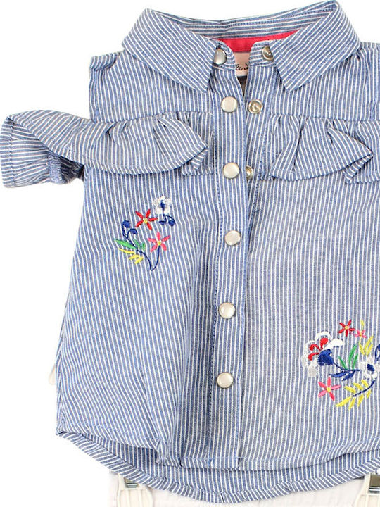 Baby Gear