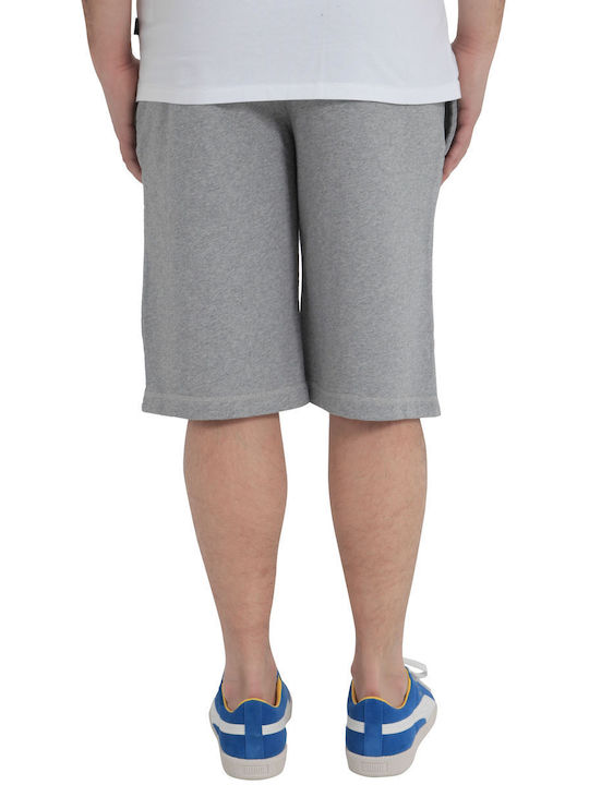 Wesc Herrenshorts Gray