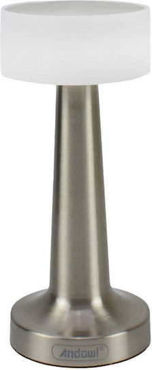 Andowl Decorative Lamp Silver