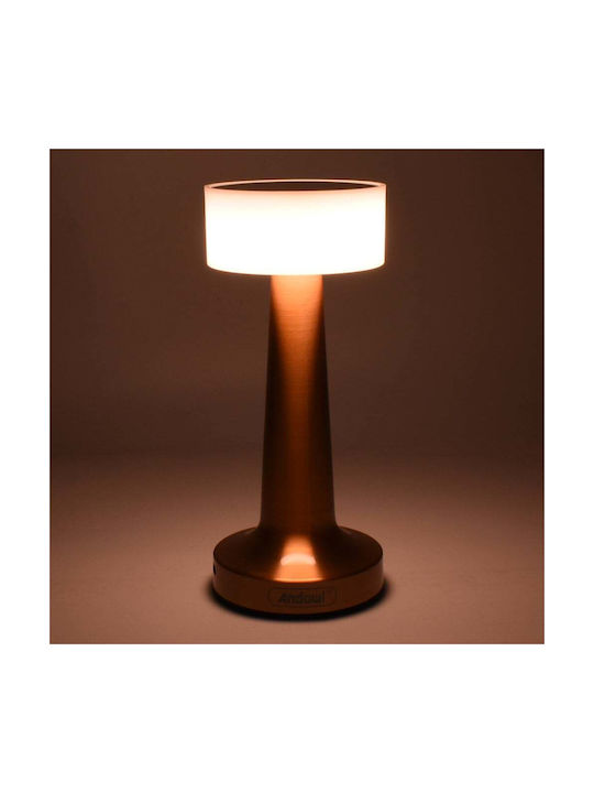 Andowl Dekorative Lampe Kupfer