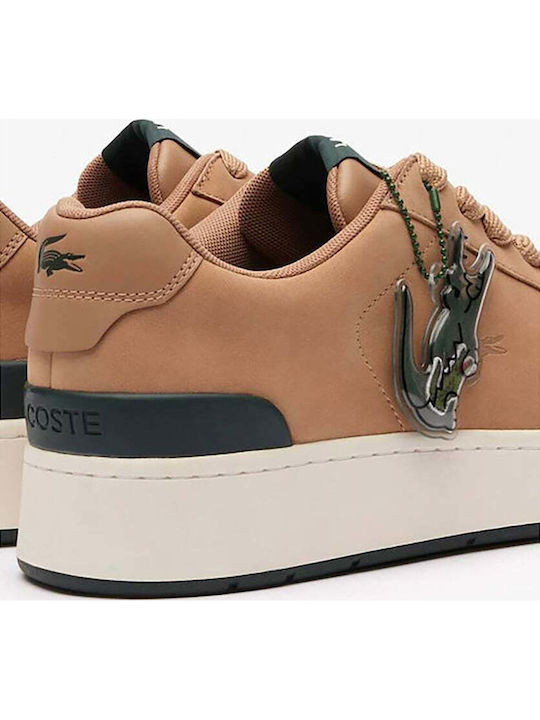 Ace Clip 223 Sneakers Brown