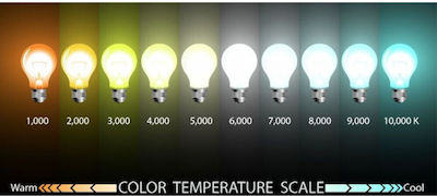 Aca Becuri LED pentru Soclu E27 și Formă G95 Alb natural 1010lm 1buc