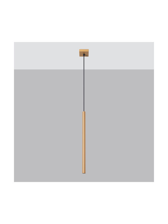 Sollux Pastelo Pendant Light Gold with Socket G9 8x8x120cm
